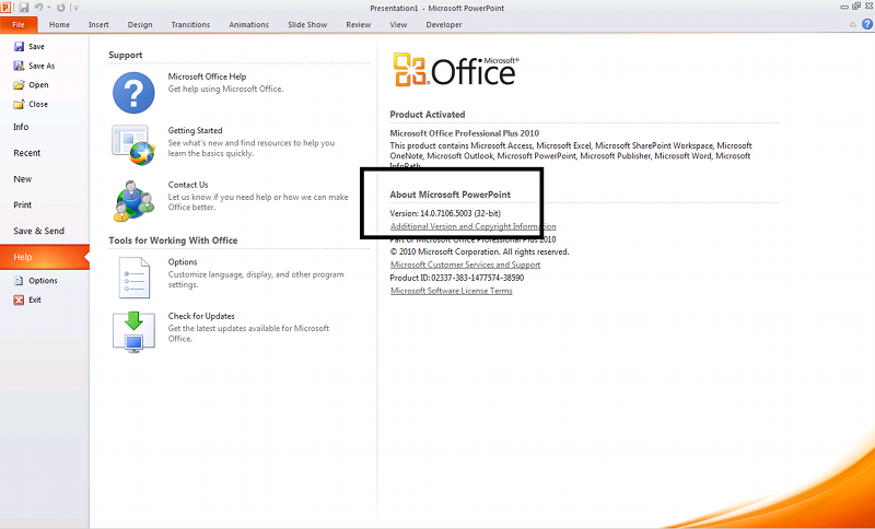 microsoft office license support
